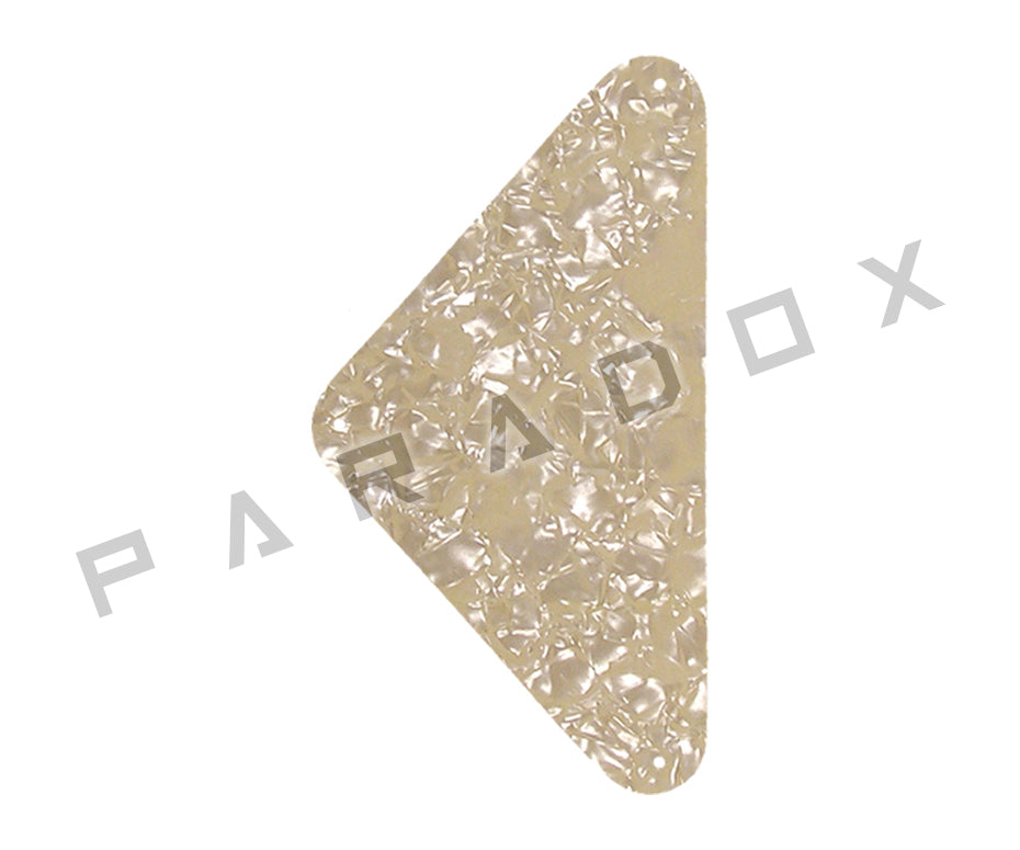Custom Backplate For 2019 - 2024 Made in America Harmony Rebel