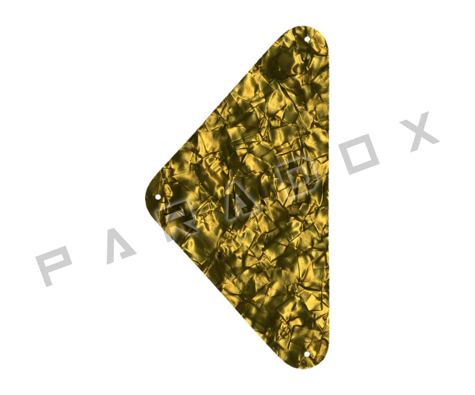 Custom Backplate For 2019 - 2024 Made in America Harmony Rebel