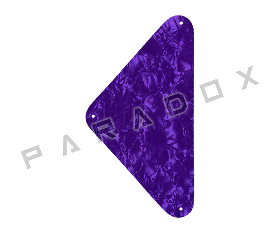 Custom Backplate For 2019 - 2024 Made in America Harmony Rebel