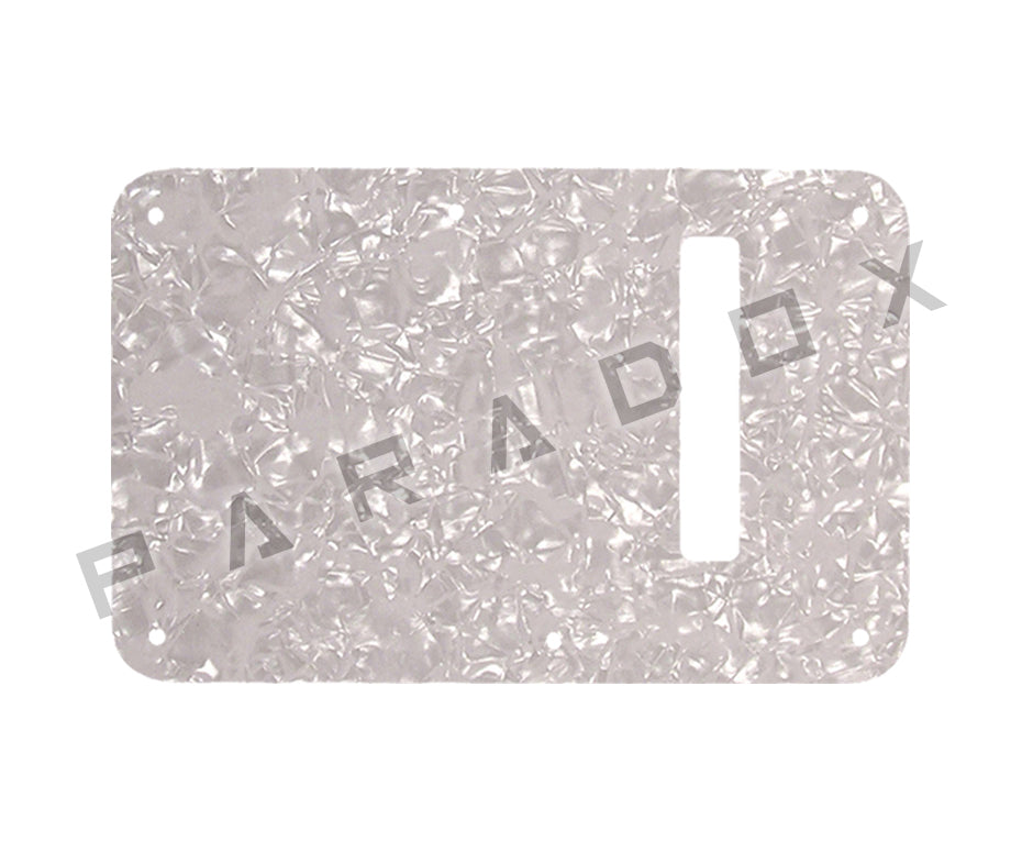 Custom Backplate For 2024 - 2025 Made in China Jet JS-300