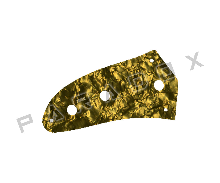 Custom Control Plate For Fender Jaguar