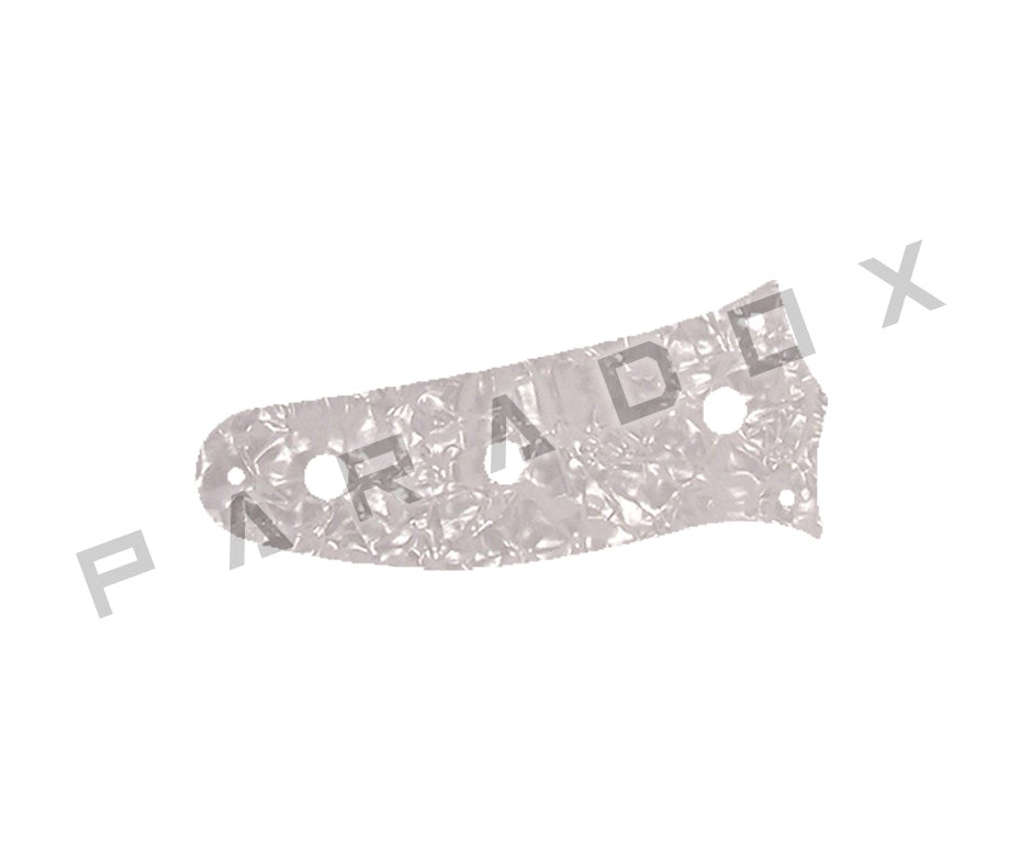 Custom Control Plate For Fender Japan Mustang Or JagStang Guitar