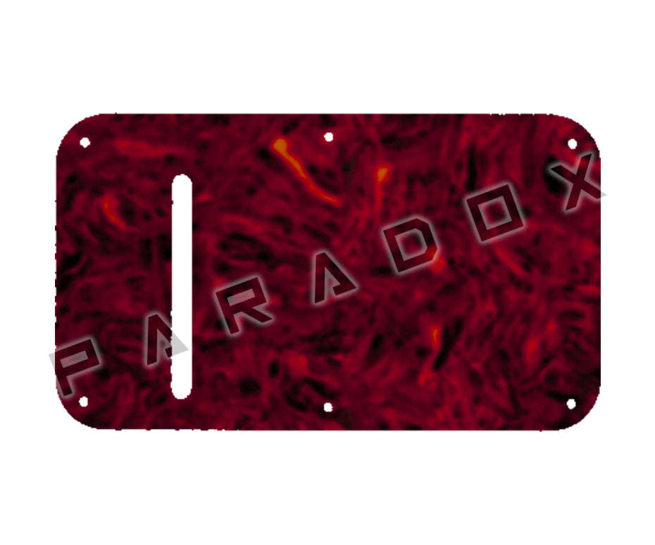 Custom Pickguard For 1980's Peavey Nitro, Vandenberg Spring Cavity Plate