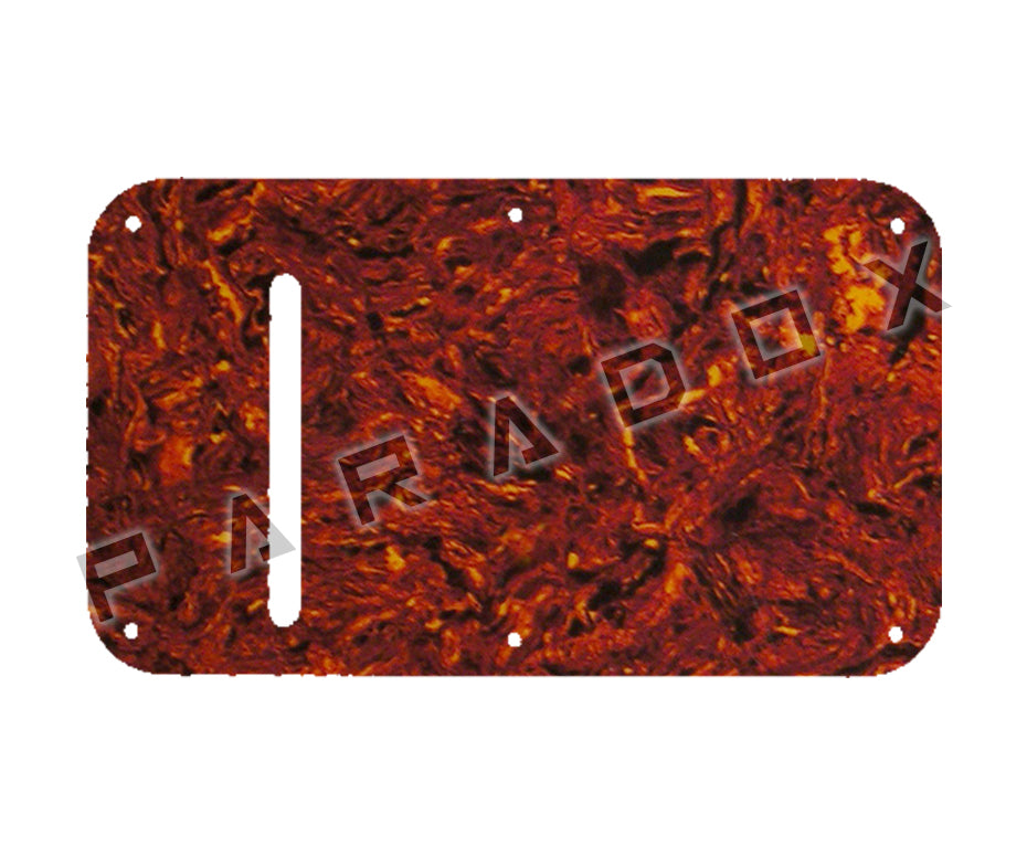 Custom Pickguard For 1980's Peavey Nitro, Vandenberg Spring Cavity Plate