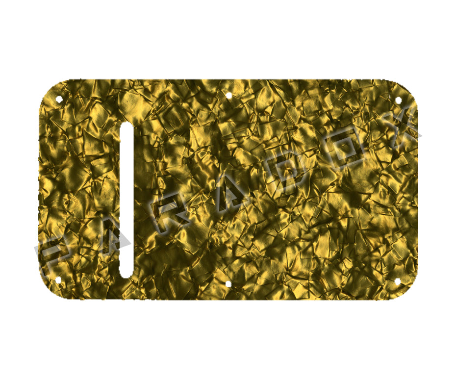 Custom Pickguard For 1980's Peavey Nitro, Vandenberg Spring Cavity Plate