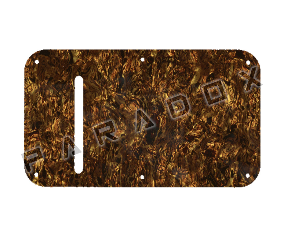 Custom Pickguard For 1980's Peavey Nitro, Vandenberg Spring Cavity Plate