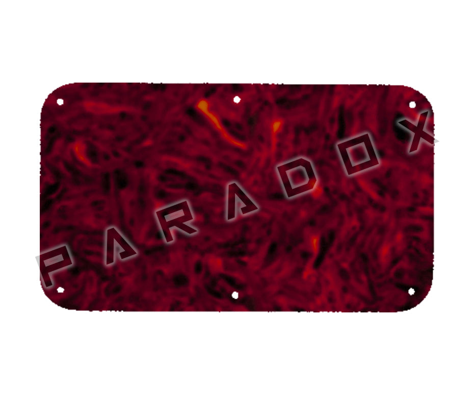 Custom Spring Cavity Cover For 1996 - 2004 Peavey EVH Wolfgang