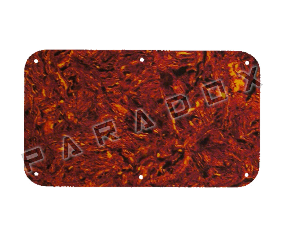 Custom Spring Cavity Cover For 1996 - 2004 Peavey EVH Wolfgang