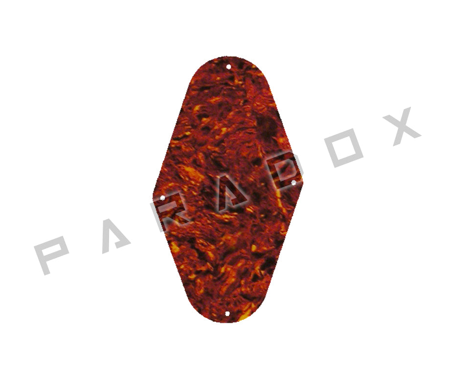 Custom Control Plate For 1996 - 2004 Peavey EVH Wolfgang