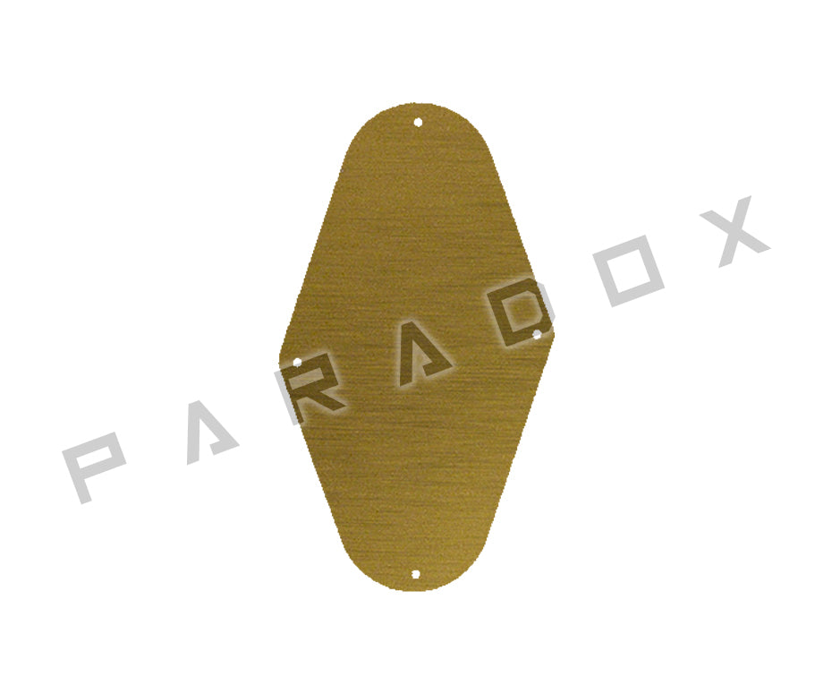 Custom Control Plate For 1996 - 2004 Peavey EVH Wolfgang