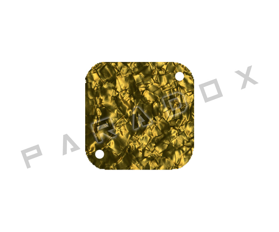 Custom Back Cover For 2017 - 2024 Made in Indonesia Squier By Fender Mini Stratocaster V2