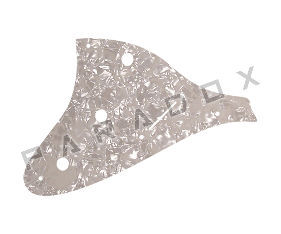 Custom Control Plate For 2000 - Present Made in America Fender Custom Shop Roasted Poblano II Stratocaster Relic two piece 8 hole