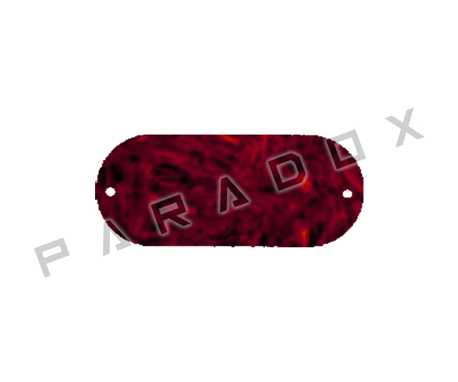 Custom Pickguard For 2018 Made in America Fender Limited Edition Parallel Universe Series Troublemaker Telecaster Switch Cover