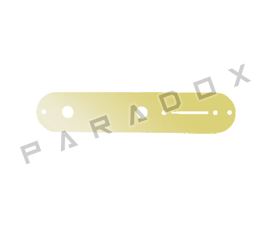 Custom Control Plate For Fender Telecaster
