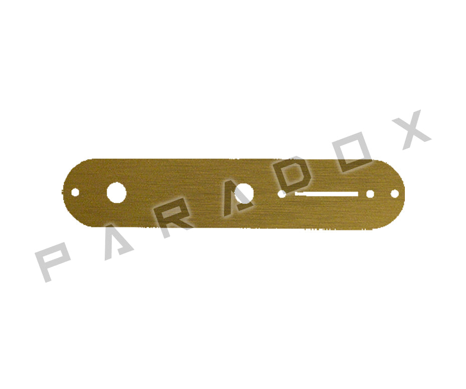 Custom Control Plate For Fender Telecaster