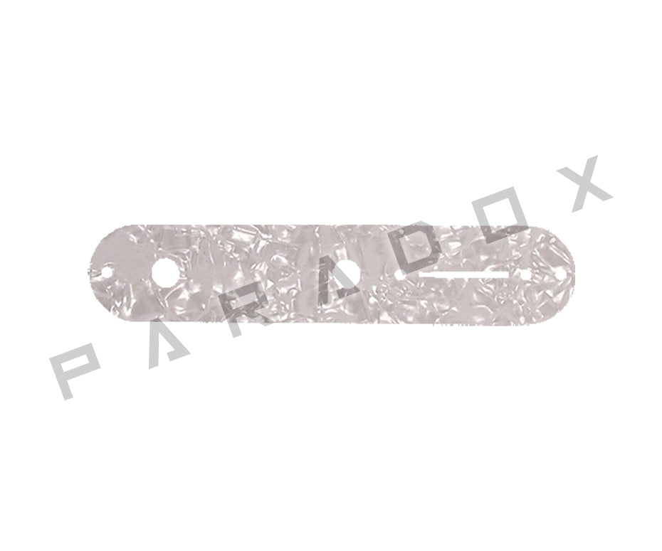 Custom Control Plate For Fender Telecaster