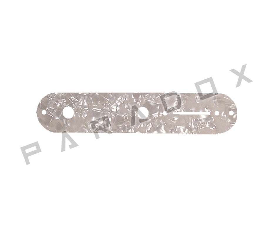 Custom Control Plate For Fender Telecaster