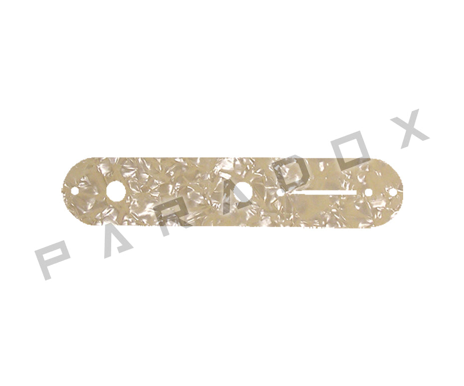 Custom Control Plate For Fender Telecaster
