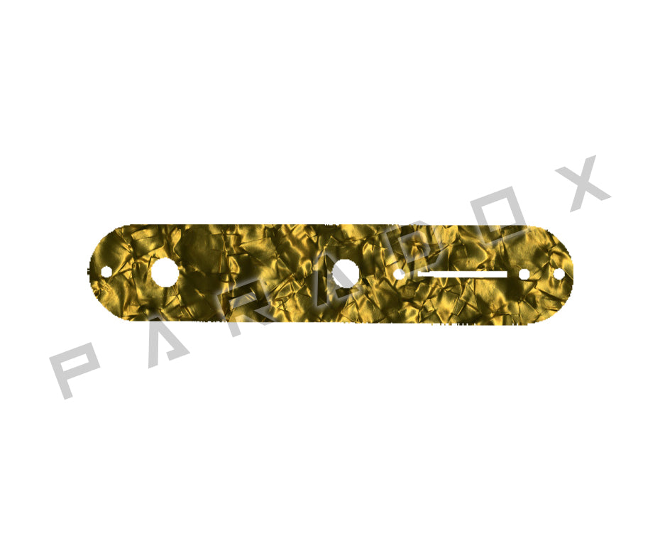 Custom Control Plate For Fender Telecaster