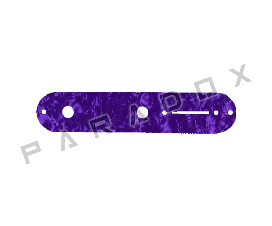 Custom Control Plate For Fender Telecaster