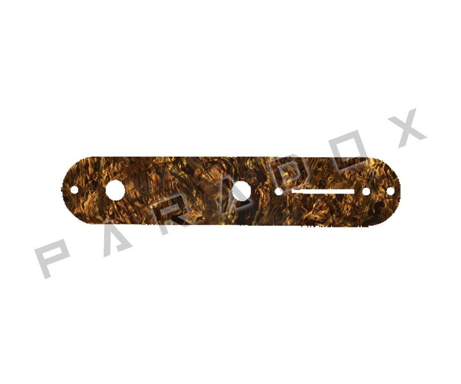 Custom Control Plate For Fender Telecaster