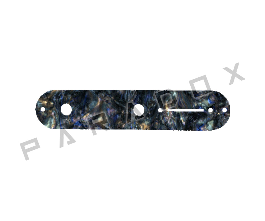 Custom Control Plate For Fender Telecaster