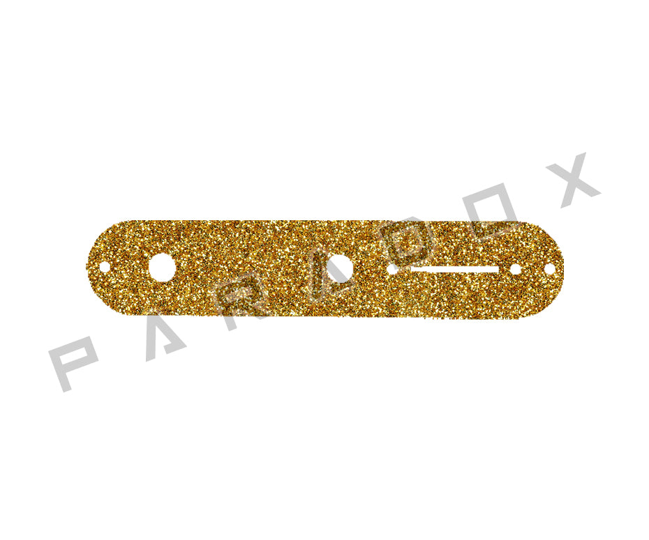 Custom Control Plate For Fender Telecaster